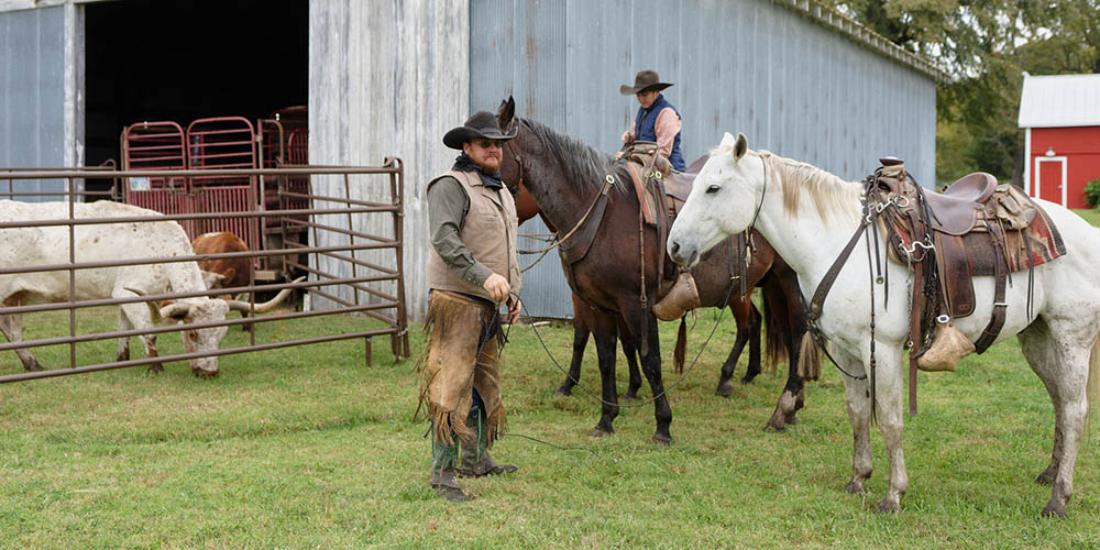 Cowboys and horses next to the gray barn