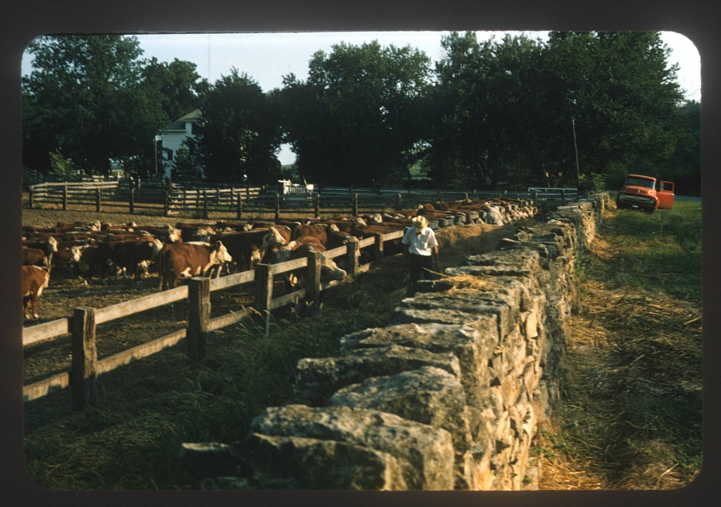 Stone fence and corral