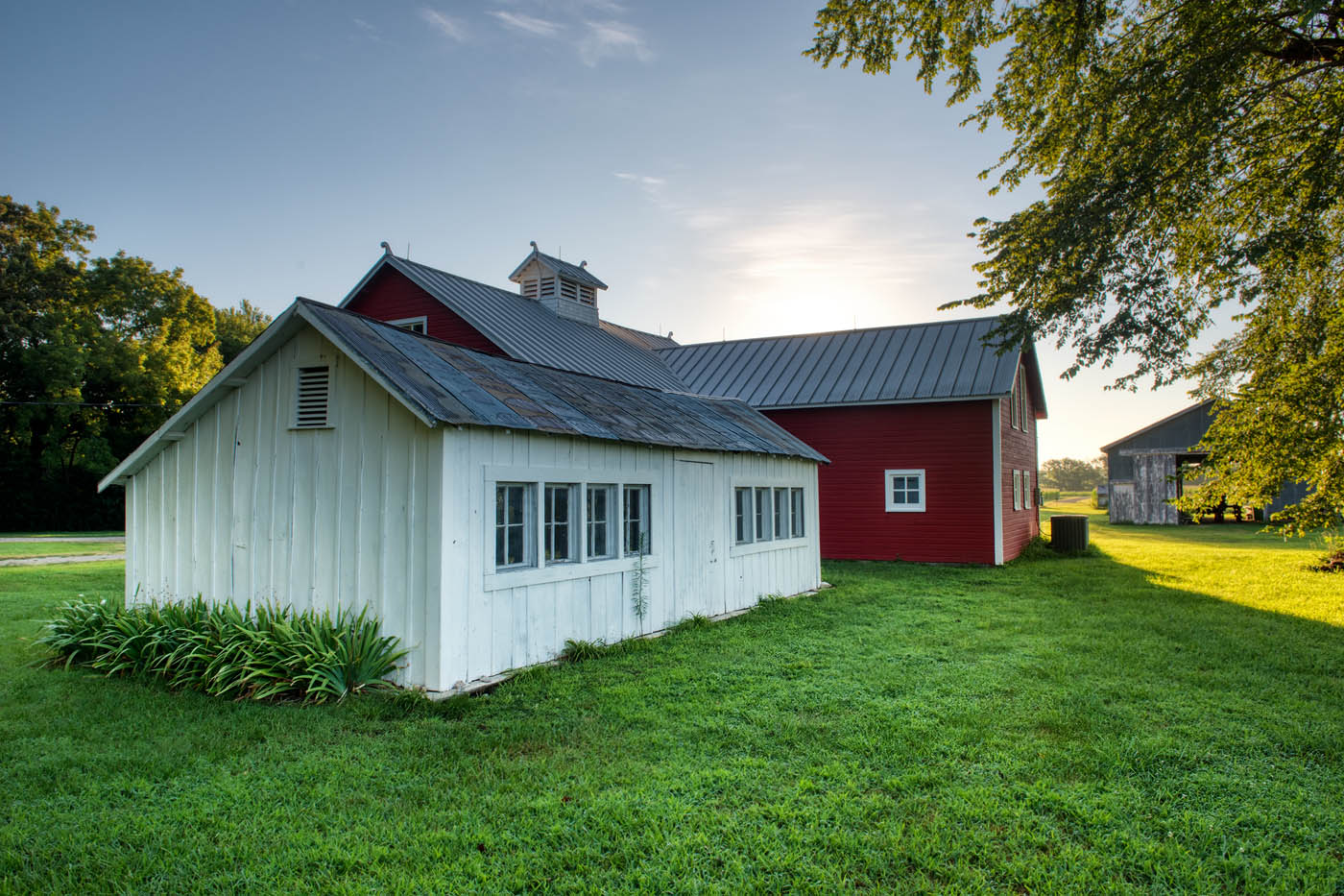 White chicken coop