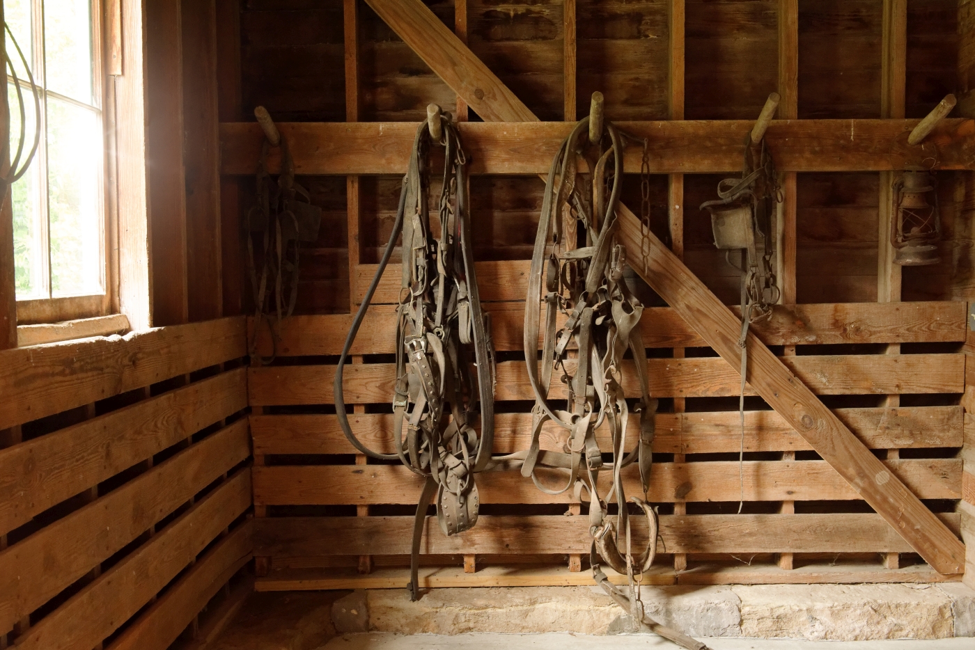 Leather harnesses in the white barn