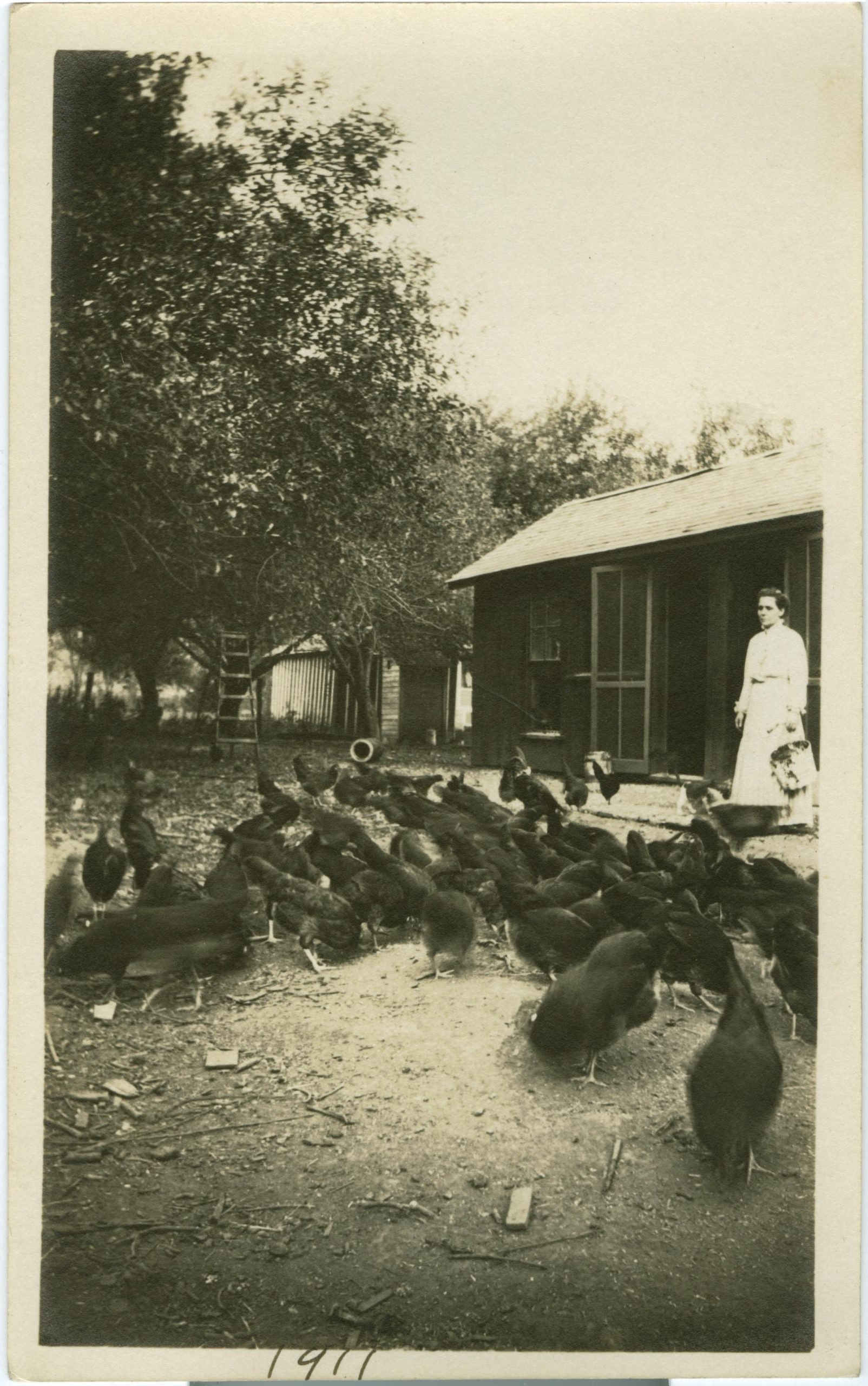 Maud Rogler with chickens in front of the coop